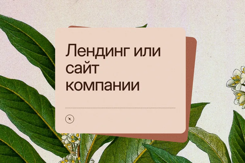 Обложка статьи: «Лендинг или сайт компании» на терракотовой карточке поверх старинной ботанической гравюры лавра