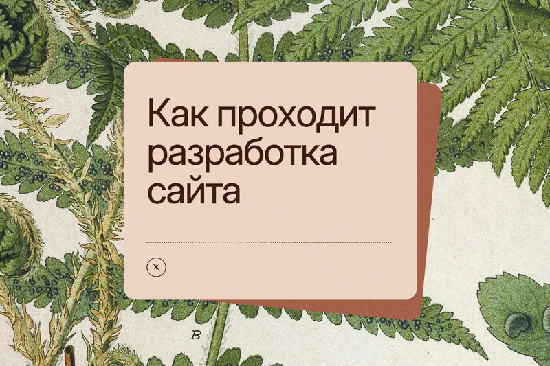 Обложка статьи: «Как проходит разработка сайта» на терракотовой карточке поверх старинной ботанической гравюры папоротника