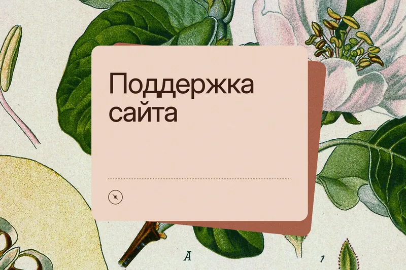 Обложка статьи: «Поддержка сайта» на терракотовой карточке поверх старинной ботанической гравюры айвы